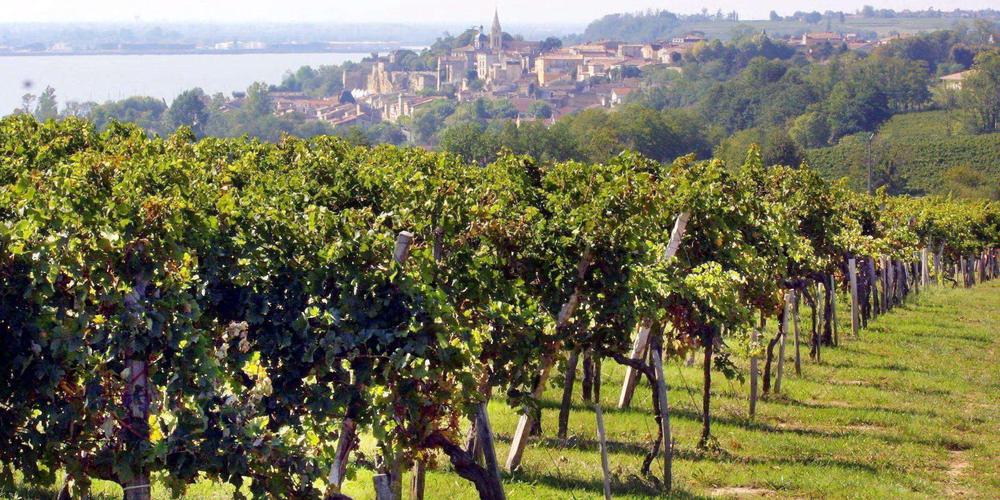 Marché de potiers – Un nouveau marché se crée en Gironde en juillet